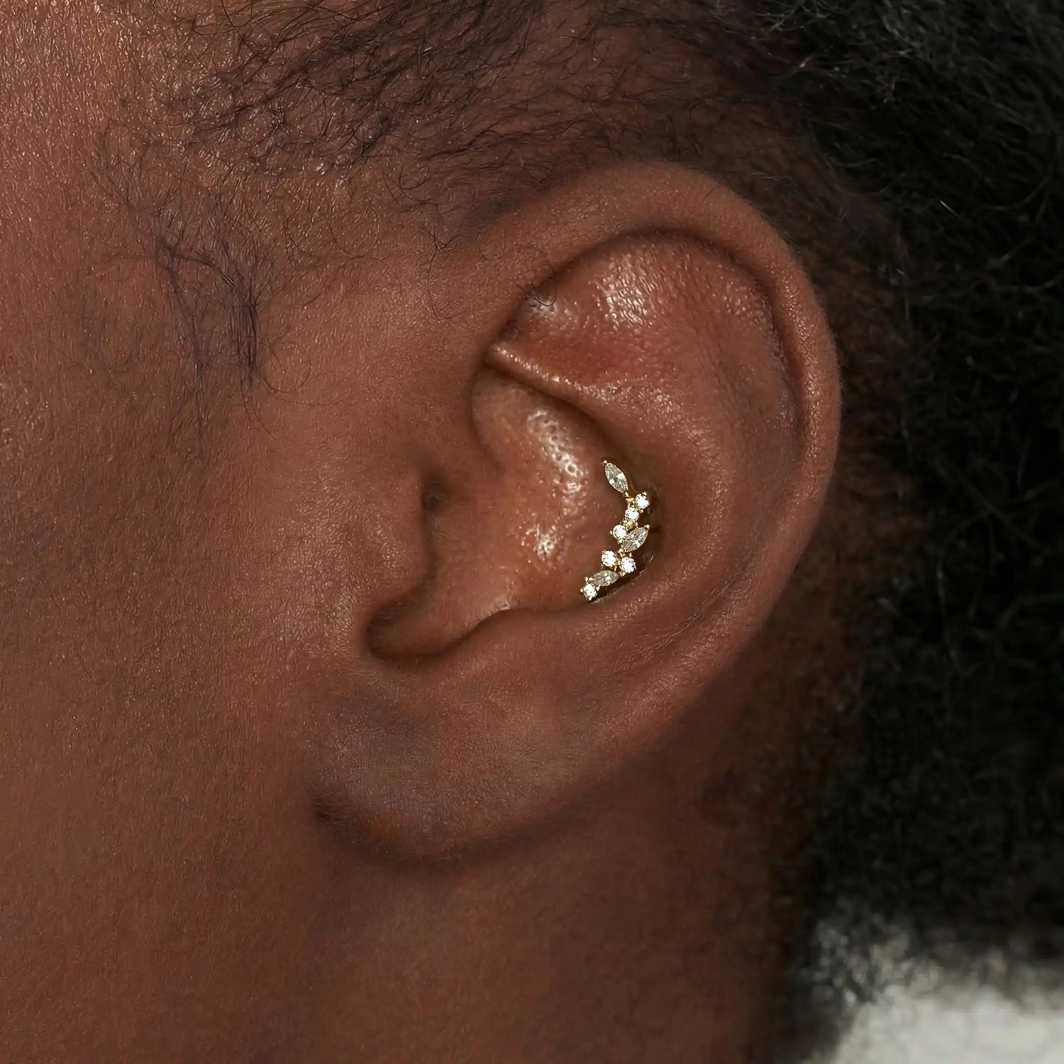 Conch Piercing Jewellery